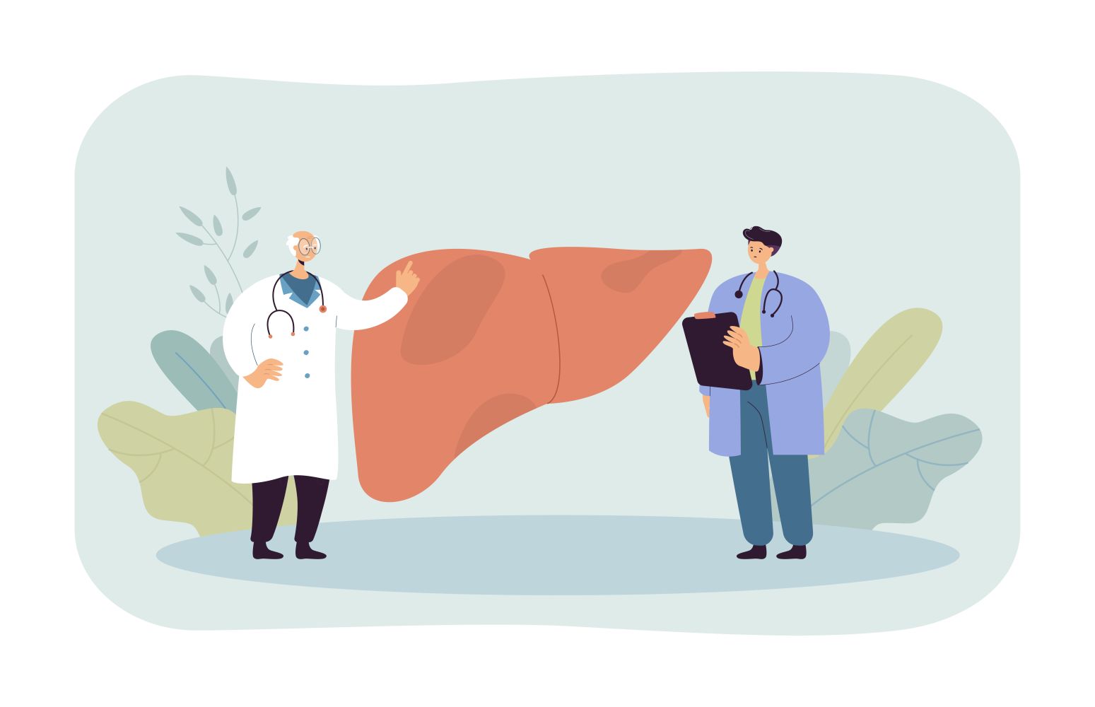 two_doctors_discussing_liver_vector_illustration92