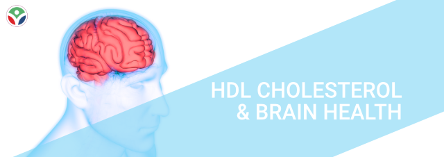 central-organ-of-human-nervous-system-brain-anatomy-1339964439_640x226